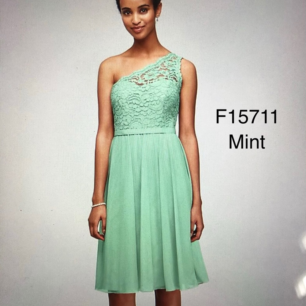 David’s Bridal Bridesmaid Dress F15711 Lace Short